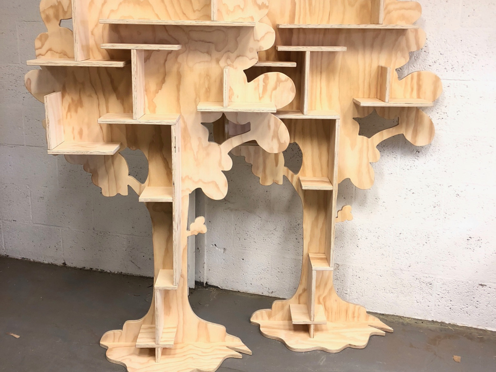 Little Explorer, Boom Kast